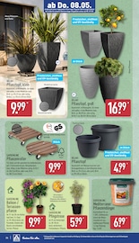 Blumentopf im ALDI Nord Prospekt in Pinneberg Aktueller ALDI Nord Prospekt mit Blumentopf, "Aktuelle Angebote", Seite 28