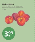 Nektarinen von  im aktuellen V-Markt Prospekt für 3,99 €