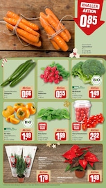 Ähnliche Angebote wie Bonsai im Prospekt "Dein Markt" auf Seite 9 von REWE in Karlsruhe