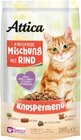 Knuspermenü Angebote von Attica bei Netto Marken-Discount Mühlhausen für 2,29 €