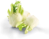 Fenchel von HEIMAT für 1,11 € bei Netto Marken-Discount im Angebot Fenchel von HEIMAT im aktuellen Netto Marken-Discount Prospekt
