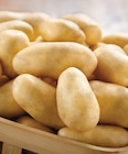 Intermarché Hyper Thonon-les-Bains - Promo Pommes de terre de consommation Promo Pommes de terre de consommation à 1,59 € dans le catalogue Intermarché Hyper à Thonon-les-Bains