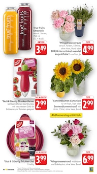 Blumen im EDEKA Prospekt "Aktuelle Angebote" mit 49 Seiten (Mannheim)