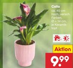 Netto Marken-Discount Treuenbrietzen Prospekt mit  im Angebot für 9,99 €