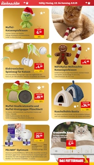 Teppichboden im Das Futterhaus Prospekt "Tierisch schöne Weihnachten." mit 4 Seiten (Braunschweig)