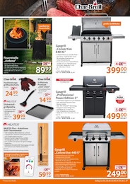 Pellets Angebot im aktuellen Selgros Prospekt auf Seite 27