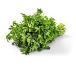 Petersilie Angebote bei Lidl Rostock für 1,39 €