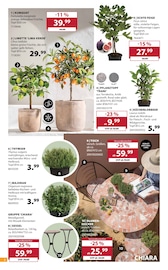 Bett im Dehner Garten-Center Prospekt in Augsburg Aktueller Dehner Garten-Center Prospekt mit Bett, "SOMMER MEDITERRAN", Seite 2