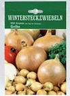 Wintersteckzwiebeln „Presto“ im Angebot bei Thomas Philipps in Iserlohn Wintersteckzwiebeln „Presto“ Angebote bei Thomas Philipps Iserlohn für 1,29 €
