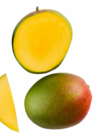 Mango im aktuellen ALDI Nord Prospekt