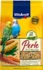 Kaufland Schwetzingen Prospekt mit  im Angebot für 