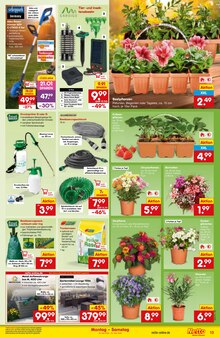 Pflanzen im aktuellen Netto Marken-Discount Prospekt (Nürnberg) Pflanzen im Netto Marken-Discount Prospekt "Aktuelle Angebote" mit 51 Seiten (Nürnberg)