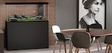 Gamme aquariums Emotions Nature Pro - Ciano - Animalis Gamme aquariums Emotions Nature Pro - Ciano à 238,50 € dans le catalogue Animalis
