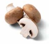 GLOBUS Koblenz - Bio Champignons braun Angebot im Prospekt Bio Champignons braun bei GLOBUS im Koblenz Prospekt für