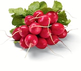 Aktuelle Gemüse Angebote bei Netto Marken-Discount in Oldenburg Aktuelles Radieschen Angebot bei Netto Marken-Discount in Oldenburg ab 0,49 €