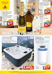 Ähnliche Ventilator Angebote im Prospekt "netto-online.de - Exklusive Angebote" von Netto Marken-Discount in Dresden Ähnliche Angebote wie Ventilator im Prospekt "netto-online.de - Exklusive Angebote" auf Seite 8 von Netto Marken-Discount in Dresden