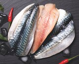 Promo Filet de sardine ou filet de maquereau à 9,99 € dans le catalogue Bi1 à Saint-Aignan-des-Noyers