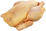 Fairmast Hähnchen ganz Angebote bei REWE Bornheim für 0,88 €