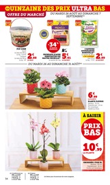 Jardinage Angebote im Prospekt "Super U" von Super U auf Seite 34