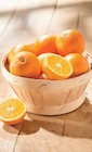 Intermarché Bois-Colombes - Promo Orange à dessert et/ou à jus Promo Orange à dessert et/ou à jus à 2,29 € dans le catalogue Intermarché à Bois-Colombes