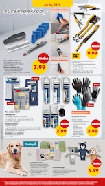 Ähnliche Vogelkäfig Angebote im Prospekt "Wer günstig will, muss Penny." von Penny in Greifswald Ähnliche Angebote wie Vogelkäfig im Prospekt "Wer günstig will, muss Penny." auf Seite 32 von Penny in Greifswald