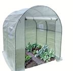 Angebot im Wreesmann Meißen Prospekt Wreesmann Meißen Prospekt mit im Angebot für 39,99 €