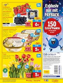Tulpen im aktuellen Netto Marken-Discount Prospekt (Mannheim) Tulpen im Netto Marken-Discount Prospekt "Aktuelle Angebote" mit 65 Seiten (Mannheim)