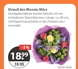 V-Markt Günzburg Prospekt mit  im Angebot für 18,99 €