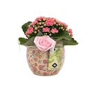 Promo Kalanchoe à 6,99 € dans le catalogue Carrefour à L'Haÿ-les-Roses