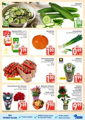 Kürbis im Marktkauf Prospekt in Wismar Aktueller Marktkauf Prospekt mit Kürbis, "Top Angebote", Seite 5