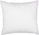 Aktuelles JYSK Entenfederkissen 80x80 BOTNKRONA Angebot bei JYSK in Remscheid ab 25,00 €