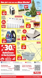 Einmachgläser Angebot & Preis im aktuellen Thomas Philipps Prospekt Einmachgläser Angebot im aktuellen Thomas Philipps Prospekt auf Seite 23