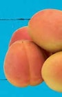 Angebot im EDEKA Krumbach (Schwaben) Prospekt EDEKA Krumbach (Schwaben) Prospekt mit im Angebot für 1,69 €
