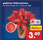 geglitterter Weihnachtsstern im Angebot bei Netto Marken-Discount in Arnsberg geglitterter Weihnachtsstern Angebote bei Netto Marken-Discount Arnsberg für 3,49 €