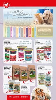 Gemüse im Zookauf Prospekt "ALLES BEREIT FÜR EUREN FRÜHLING" mit 8 Seiten (Neuss)