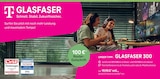 GLASFASER 300 bei EP: im Kronach Prospekt für 19,95 €