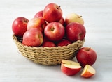 Pomme dans le catalogue Super U