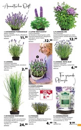 Lupinen Angebot im aktuellen Dehner Garten-Center Prospekt auf Seite 3