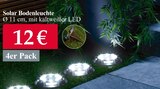 Woolworth Renningen - Solar Bodenleuchte Angebot im Prospekt Solar Bodenleuchte bei Woolworth im Renningen Prospekt für 12,00 €
