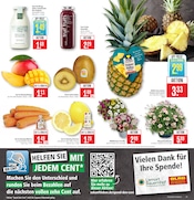 Aktueller Marktkauf Prospekt mit Blumen, "Aktuelle Angebote", Seite 11