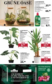 Terrarium im Dehner Garten-Center Prospekt in Duisburg Aktueller Dehner Garten-Center Prospekt mit Terrarium, "Aktuelle Angebote", Seite 18