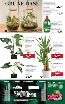 Terrarium im Dehner Garten-Center Prospekt "Aktuelle Angebote" mit 18 Seiten (Wuppertal)