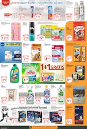 Gillette im GLOBUS Prospekt in Wiesbaden Aktueller GLOBUS Prospekt mit Gillette, "Aktuelle Angebote", Seite 20