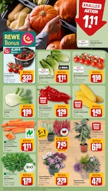 Ähnliche Geschenktüte Angebote im Prospekt "Dein Markt" von REWE Ähnliches Angebot bei REWE in Prospekt "Dein Markt" gefunden auf Seite 7