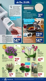 Alpenveilchen Angebote im Prospekt "Aktuelle Angebote" von ALDI Nord Alpenveilchen Angebote im Prospekt "Aktuelle Angebote" von ALDI Nord auf Seite 20