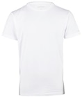 Herren-T-Shirts im Angebot bei Penny in Hildesheim Herren-T-Shirts Angebote von bruno banani bei Penny Hildesheim für 14,99 €