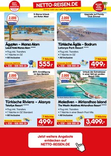 Becks im Netto Marken-Discount Prospekt "Aktuelle Angebote" mit 56 Seiten (Hagen (Stadt der FernUniversität))