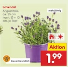 Lavendel im Angebot bei Netto Marken-Discount in Bergisch Gladbach Lavendel Angebote bei Netto Marken-Discount Bergisch Gladbach für 1,99 €