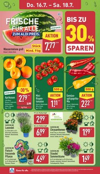 ALDI Nord Prospekt der aktuellen Woche, gültig von 13.07.2026 bis 18.07.2026 Aktueller ALDI Nord Prospekt "Aktuelle Angebote" mit 37 Seiten