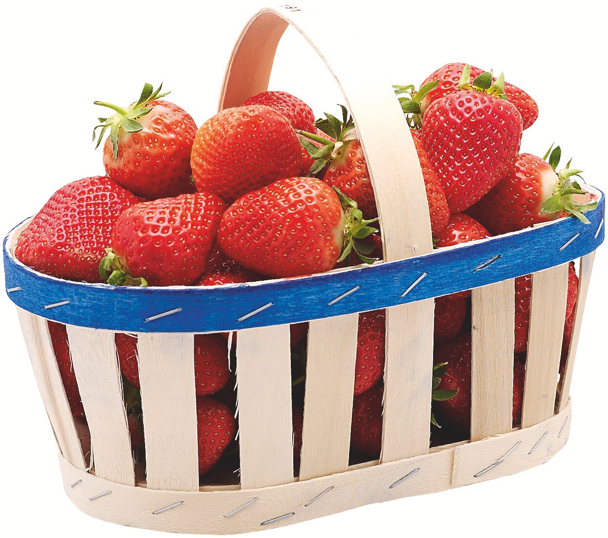Fraises rondes de Carpentras
